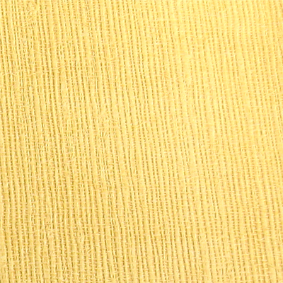 Bucheinband Bamboa Yellow 2011